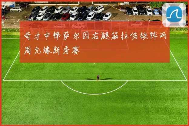 奇才中锋萨尔因右腿筋拉伤缺阵两周无缘新秀赛
