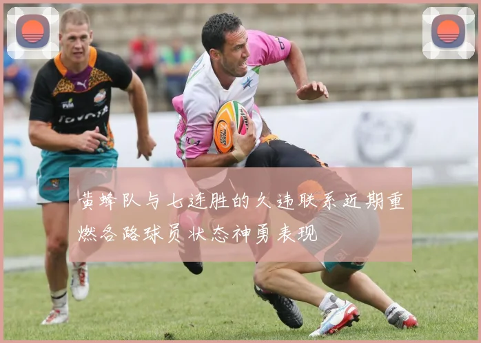 黄蜂队与七连胜的久违联系近期重燃各路球员状态神勇表现