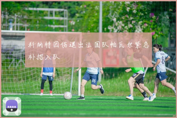 科纳特因伤退出法国队帕瓦尔紧急补招入队