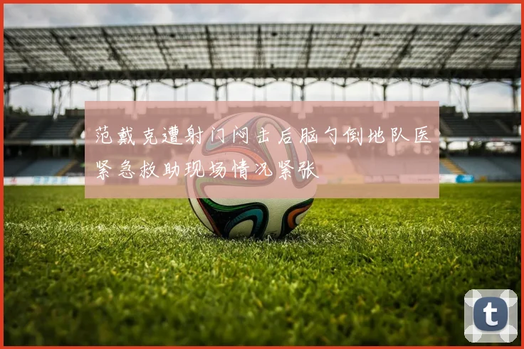 范戴克遭射门闷击后脑勺倒地队医紧急救助现场情况紧张