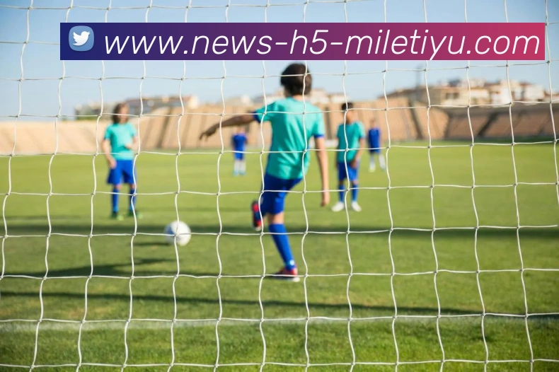 米乐体育品牌故事