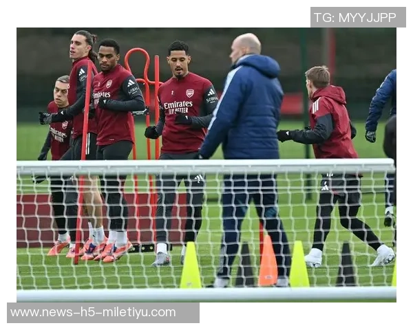 莱斯费迪南德点评阿森纳表现不足比分却显五星级水准